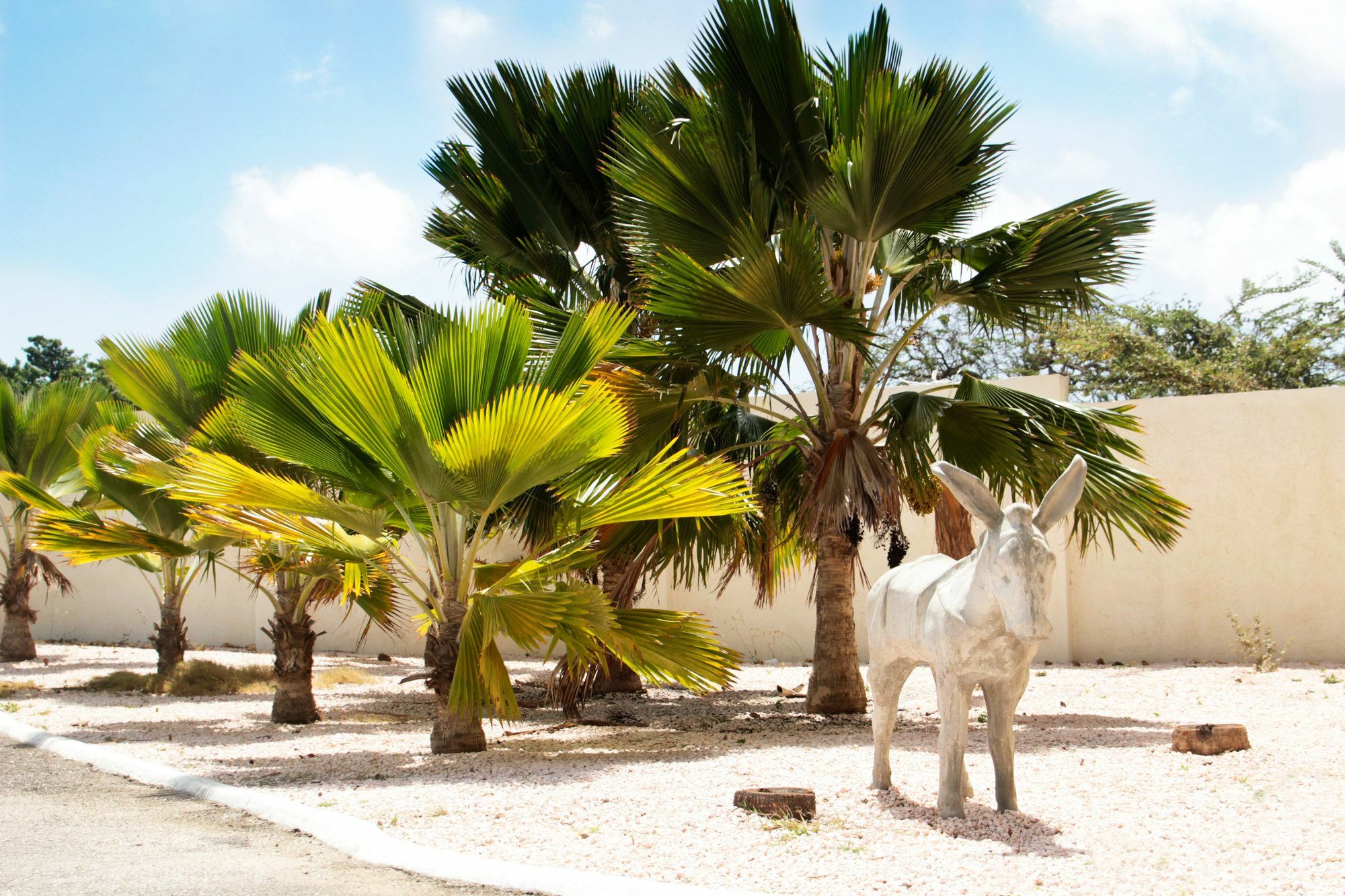 Abc Lodges Curacao Willemstad Exterior photo